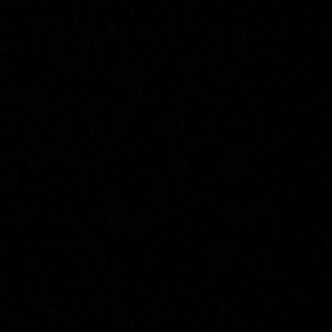 Meet your Posher, Reyna